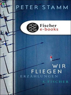 cover image of Wir fliegen